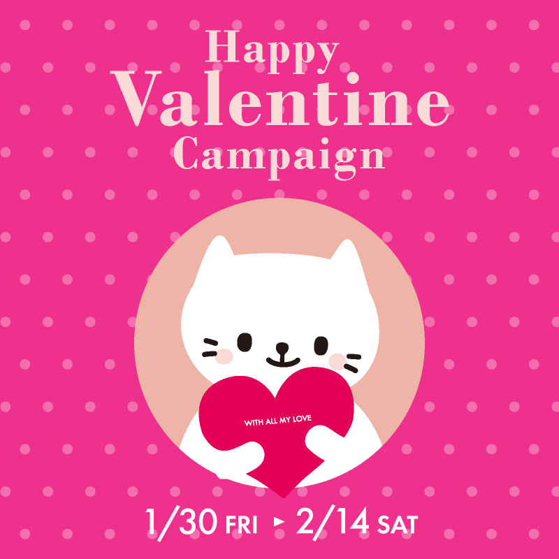 �ϥ������󥭥��ڡ���