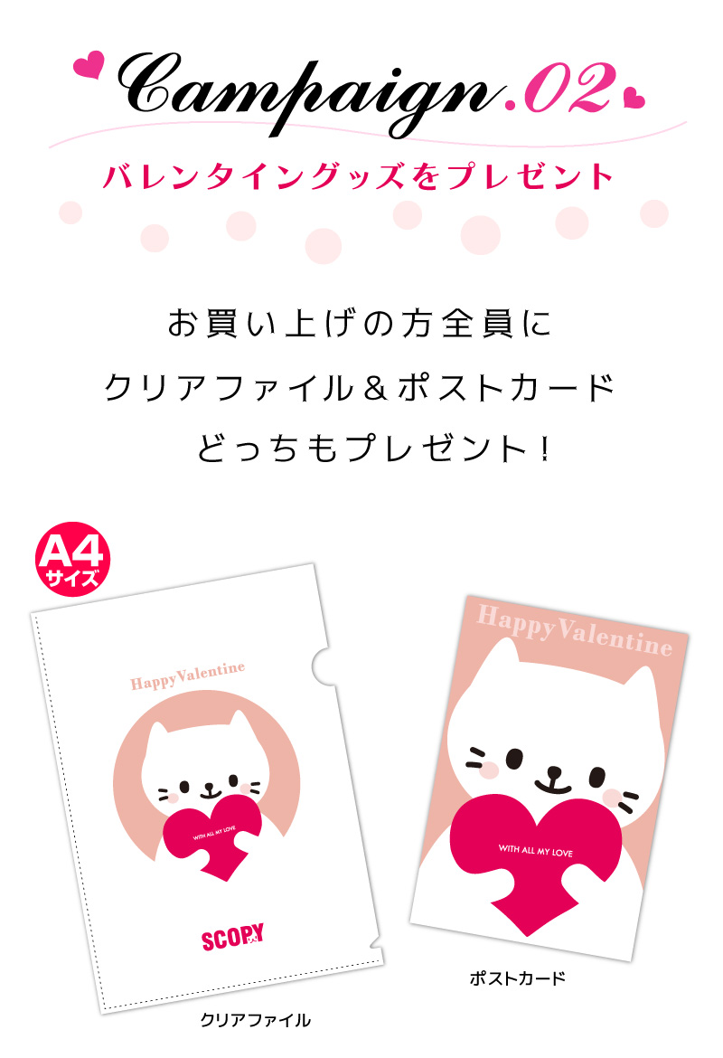 ���֥�ץ쥼��ȡ�