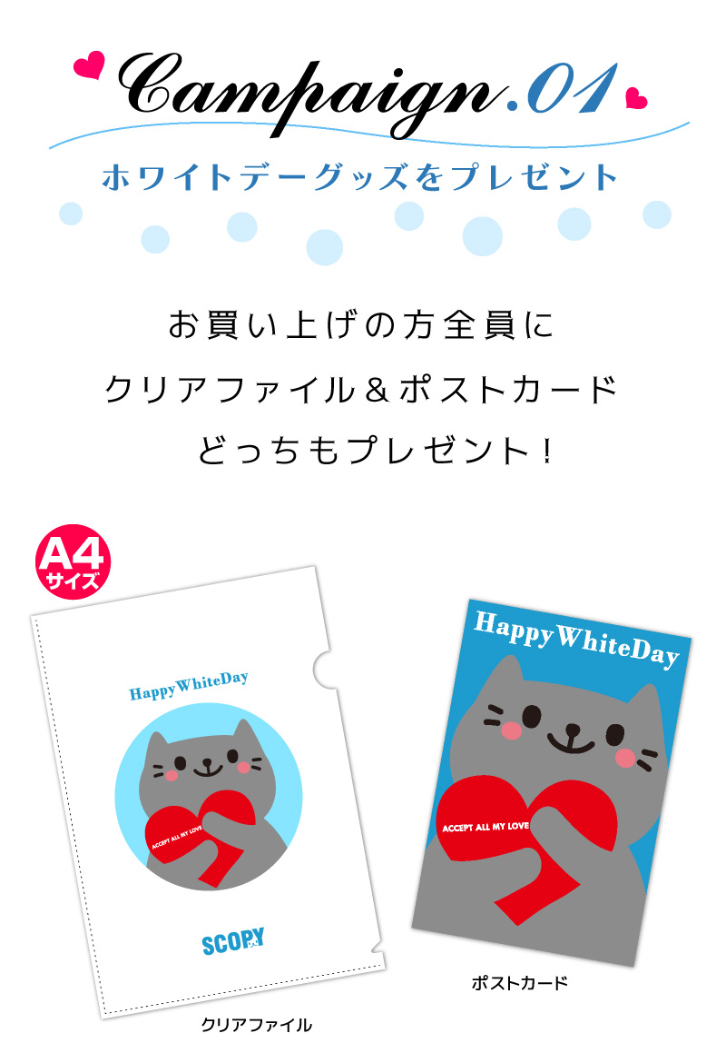 ���֥�ץ쥼��ȡ�